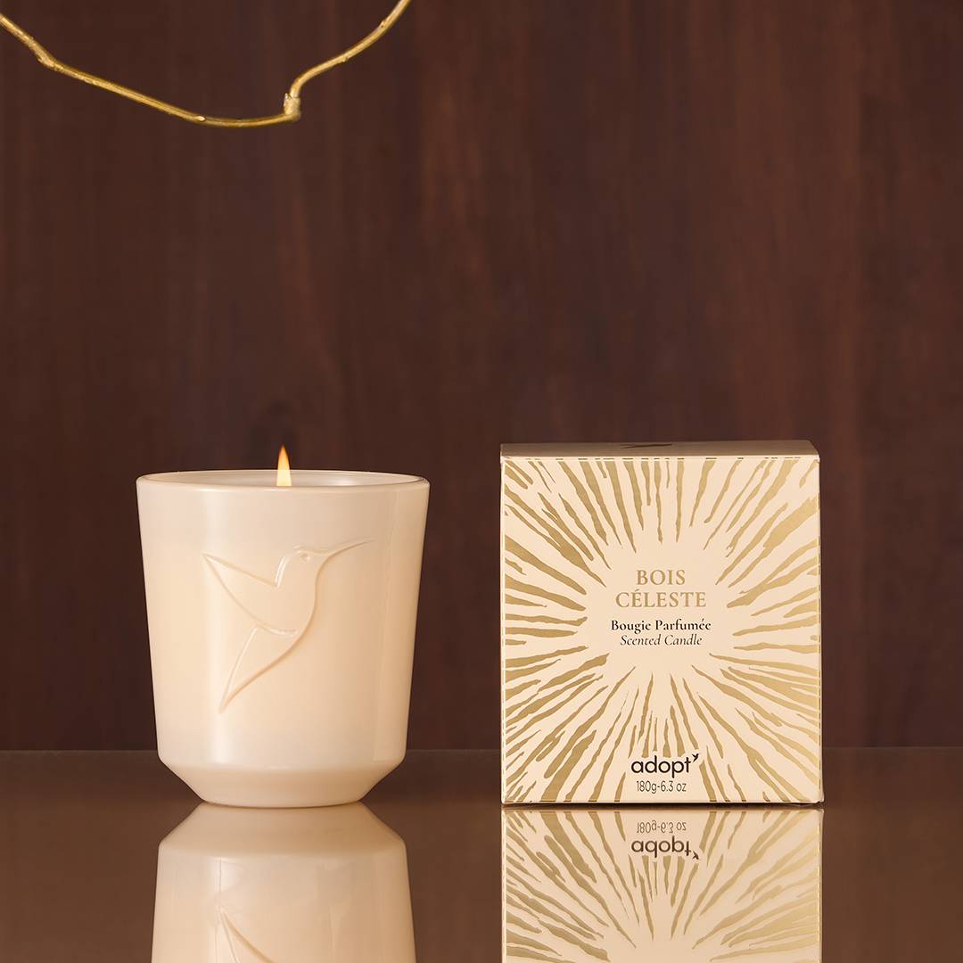 still_home_boisceleste_candle_3701429831486_2