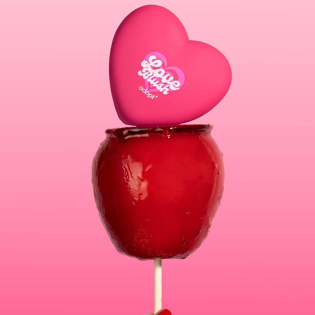 Love Blush - Fard à joues crème