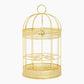pack_multi_cage_3701429817886_1_1