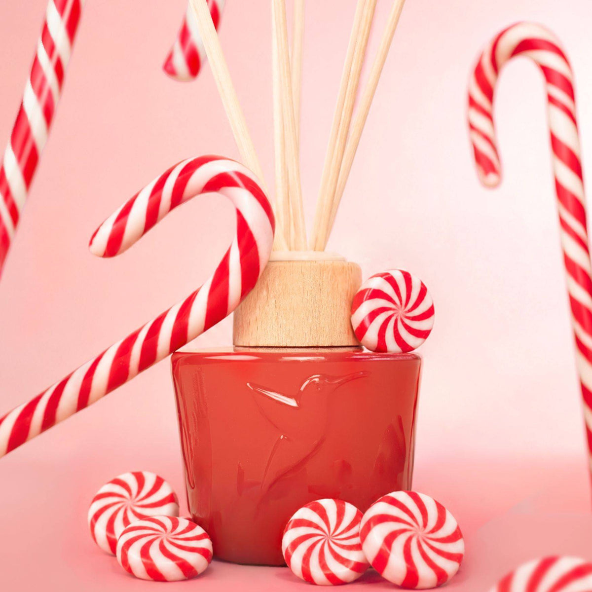 plv_noel_home_candycane_rvb_jpg