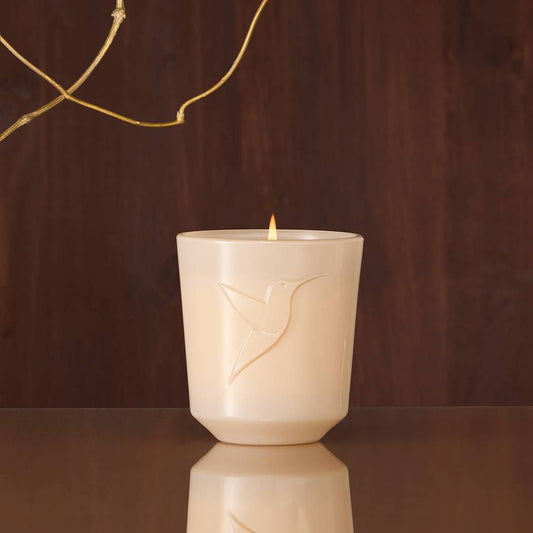 still_home_boisceleste_candle_3701429831486_1