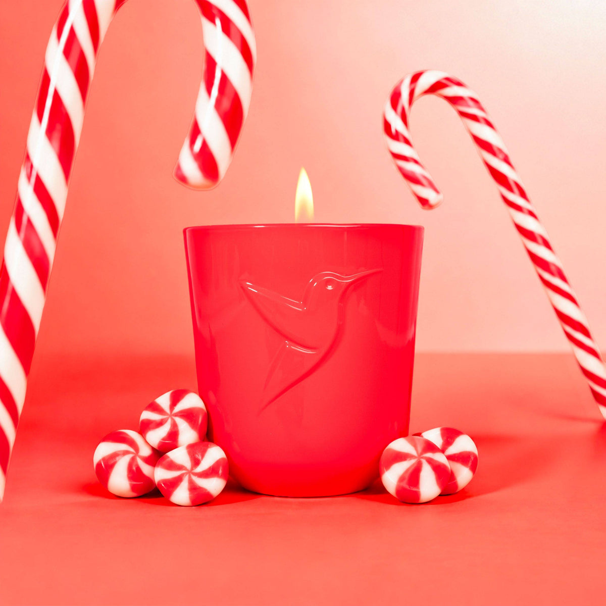 still_home_bougie_candycane
