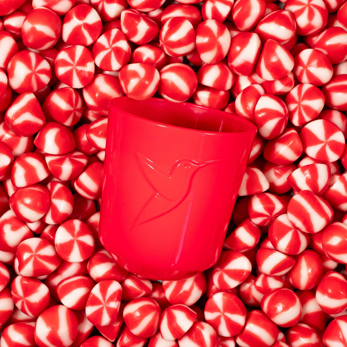still_home_bougie_candycane_topshot