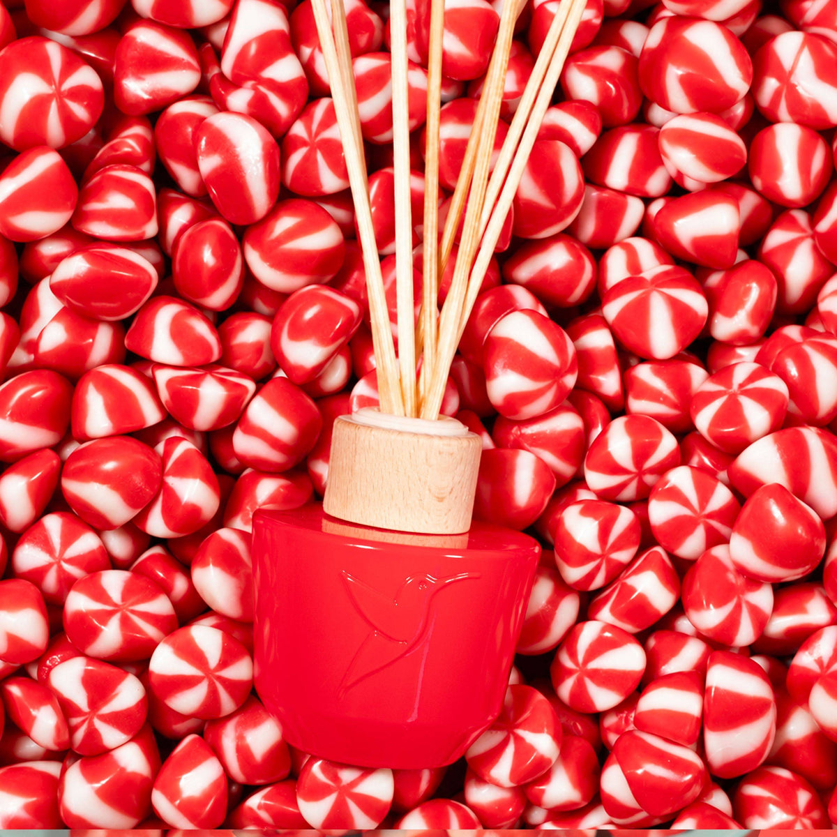 still_home_diffuseur_candycane_topshot
