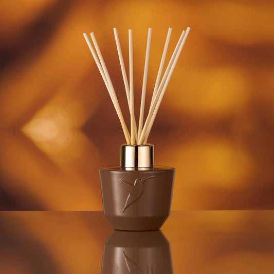 still_home_nuitinterdite_diffuser_3701429831516_1