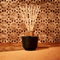 Secret d'Orient - Diffuseur 100ml