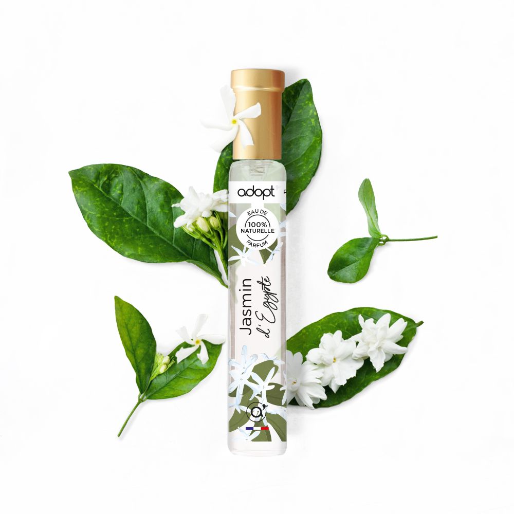 ingredient_jasmin_egypte2