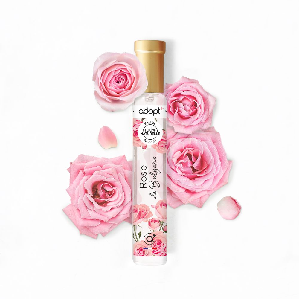 ingredient_rose_bulgarie2