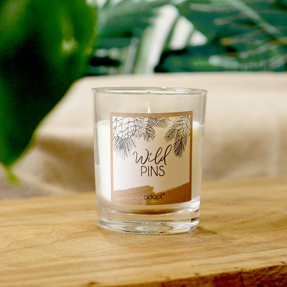 wild-pins_100g